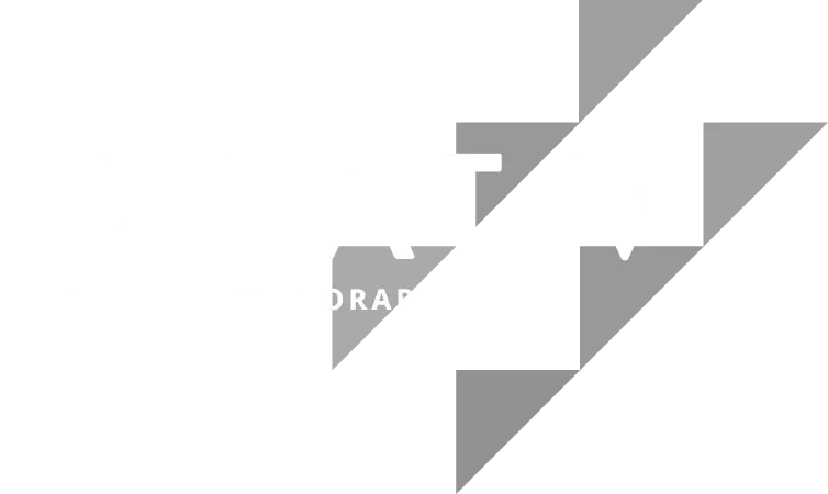 EXPAT V Logo